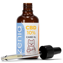Zenia Olio CBD 10% Cane XL 50ml