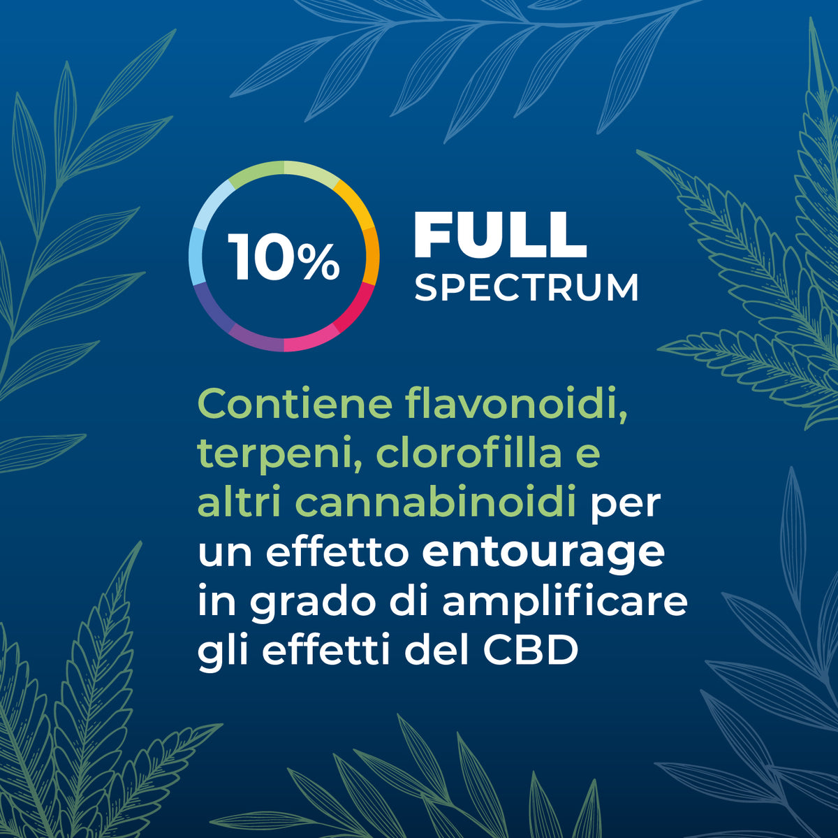 Olio CBD full-spectrum 10% secondaria