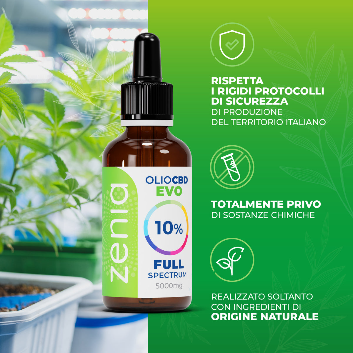 Zenia Olio CBD Evo full-spectrum 10% secondaria