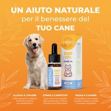 Zenia Olio CBD 10% Cane XL secondaria 10 ml