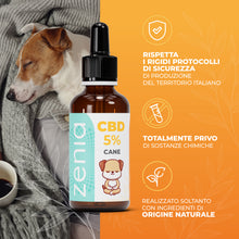 Zenia Olio CBD 5% Cane secondaria