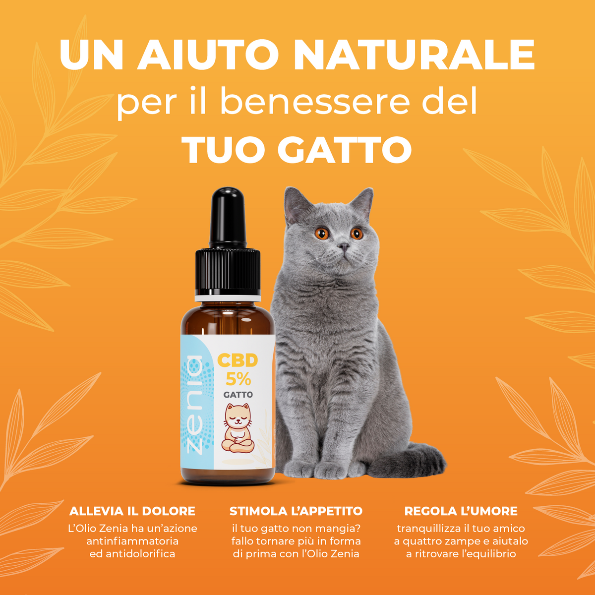 Zenia Olio CBD 5% Gatto secondaria 30-50-100ml