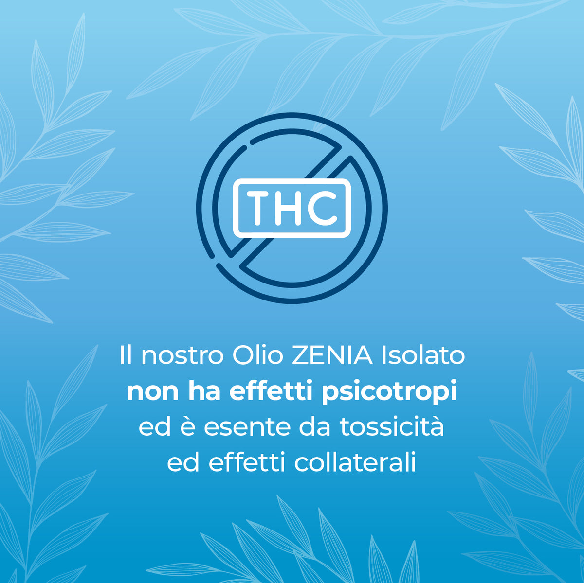 Zenia Isolato 10%