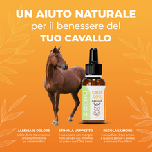 Olio CBD cavallo 40% secondaria