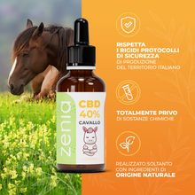 Olio CBD cavallo 40% secondaria