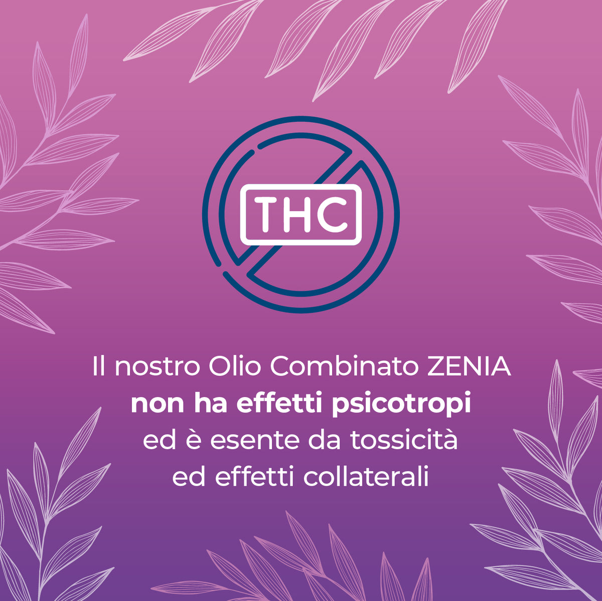 Olio CBN 20% + 20% sec