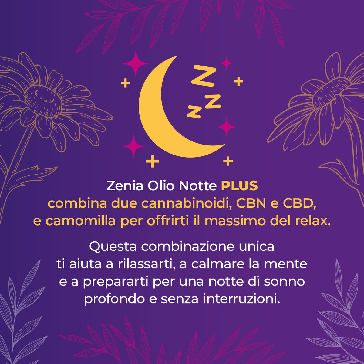 Zenia Olio Notte 30% second