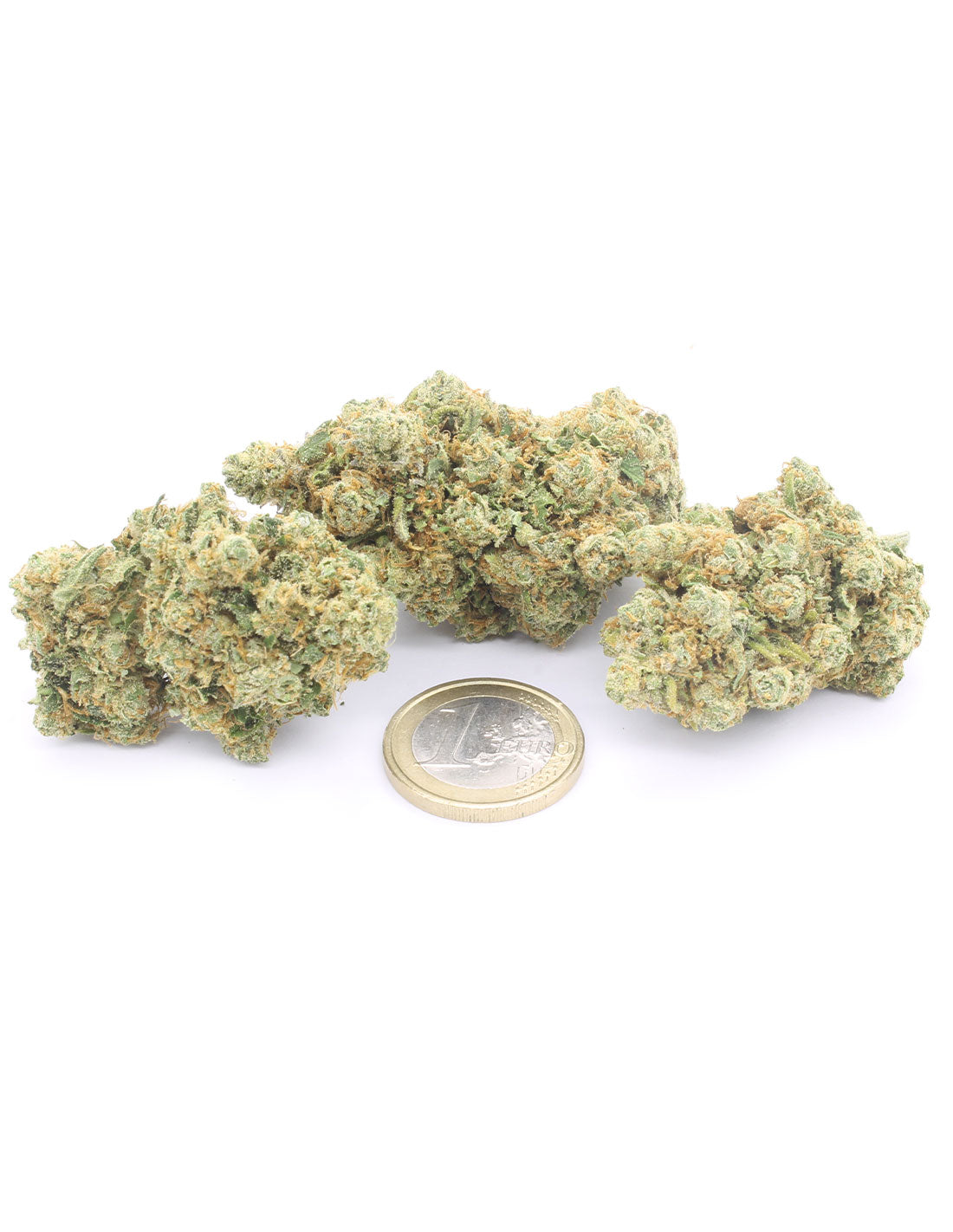 AK47 Indoor infiorescenze