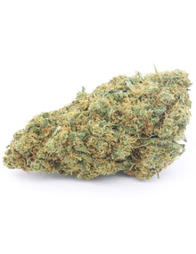 Gelato 41 infiiorescenza