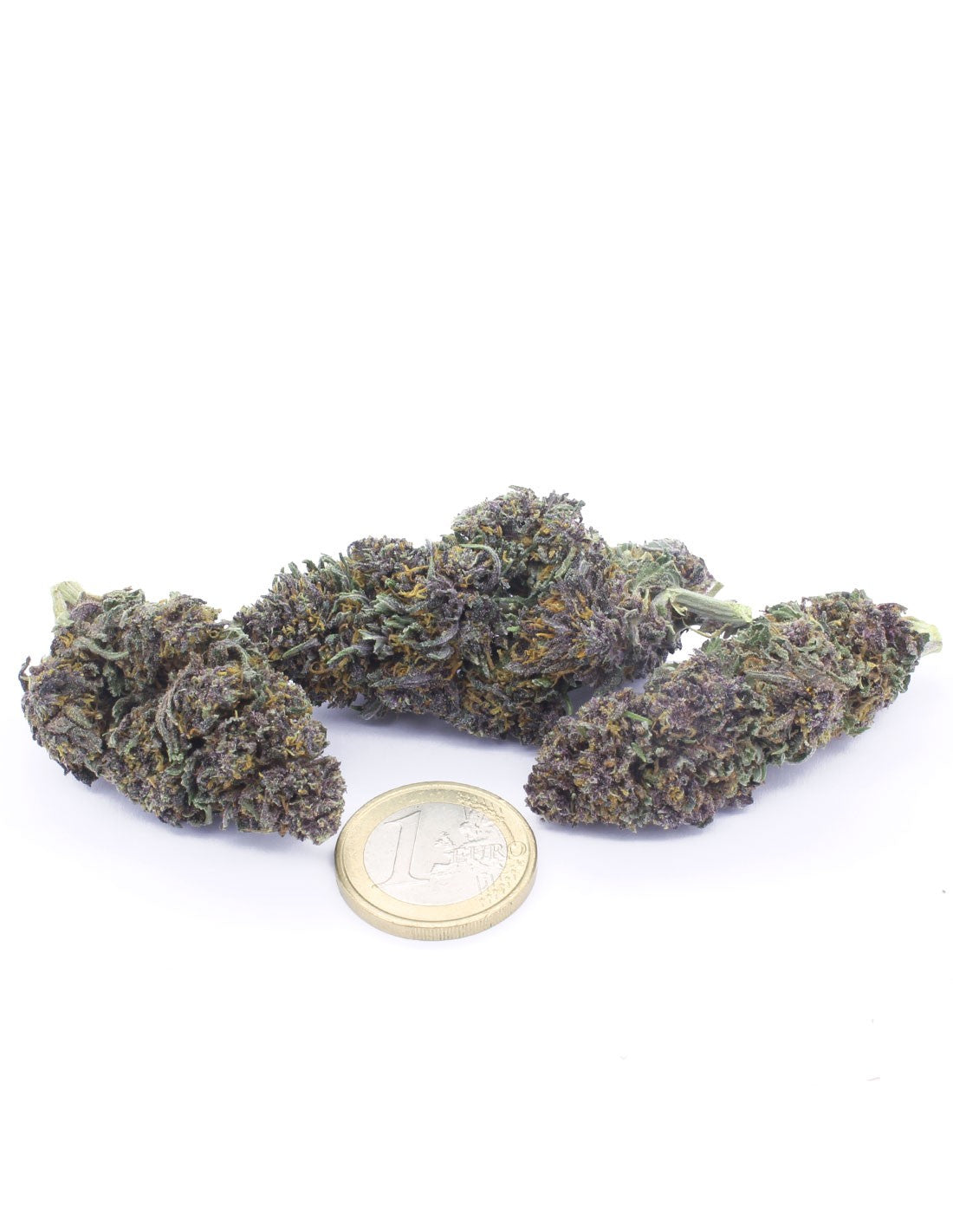 purple queen