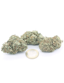 White CBG
