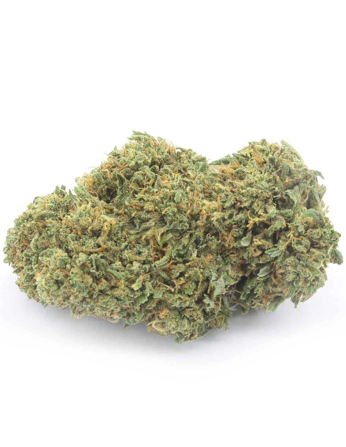 Orange Bud