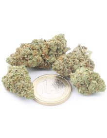 Girl Scout Cookies
