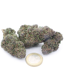 OG Kush