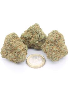 Gorilla Glue