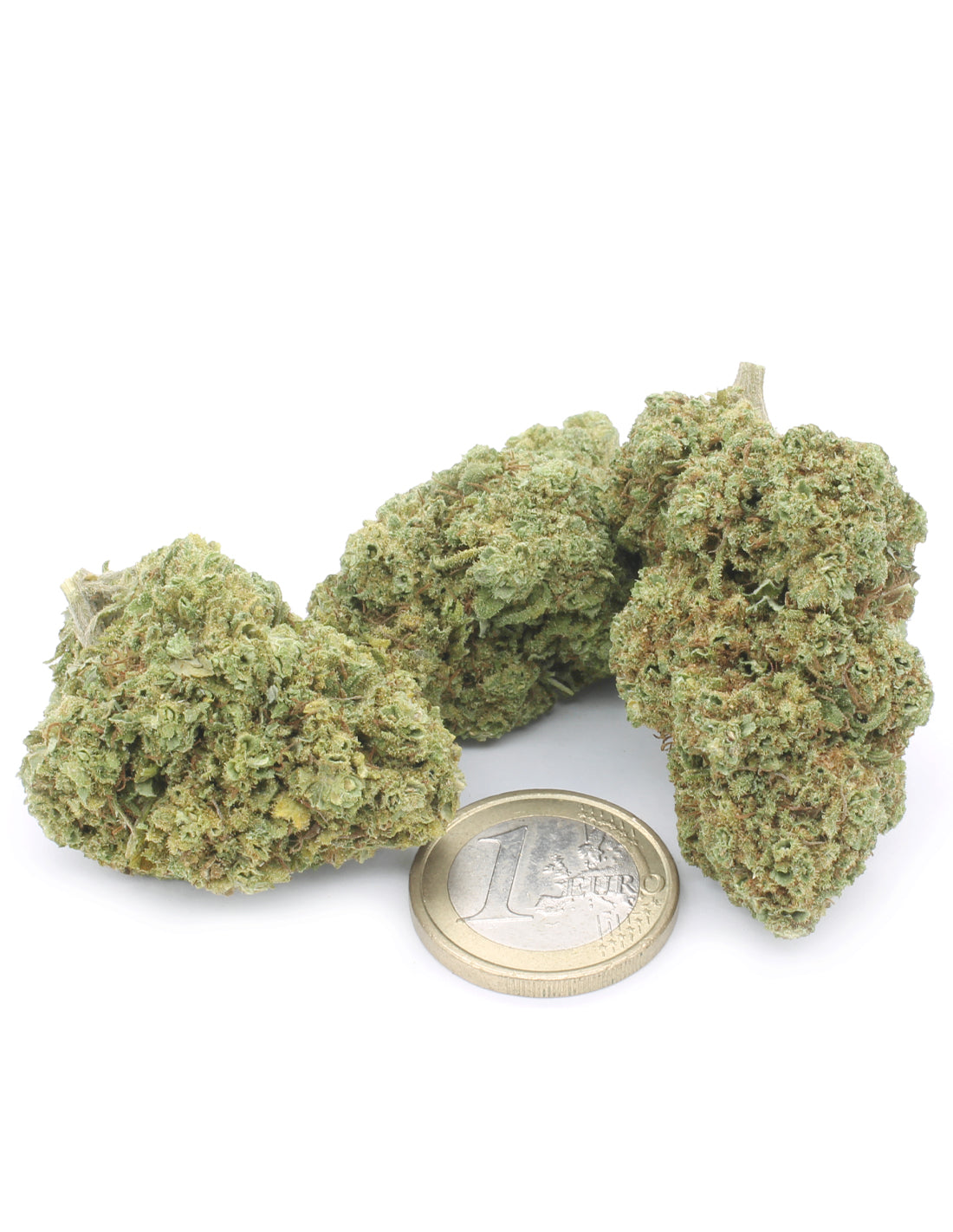 CBD Therapy