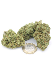CBD Therapy