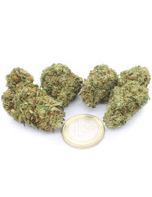 Super Lemon Zest