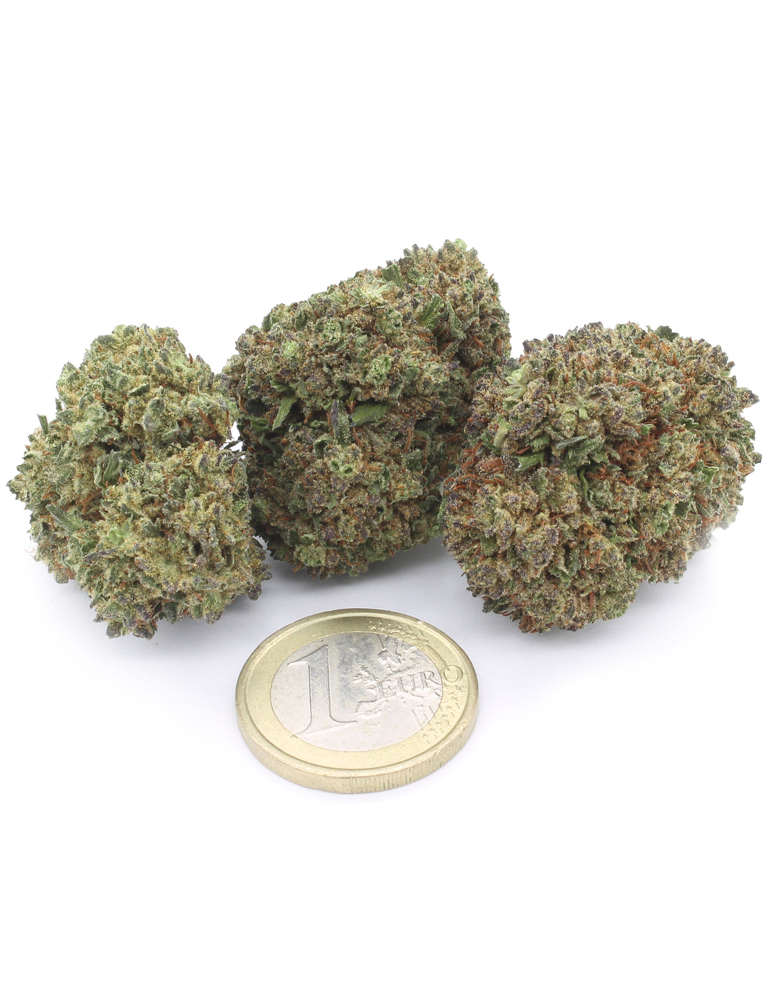 Critical+