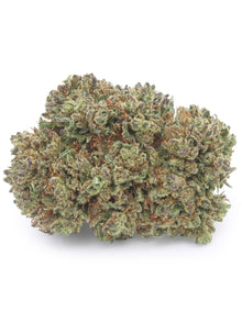 Critical+