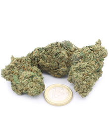 Amnesia Haze